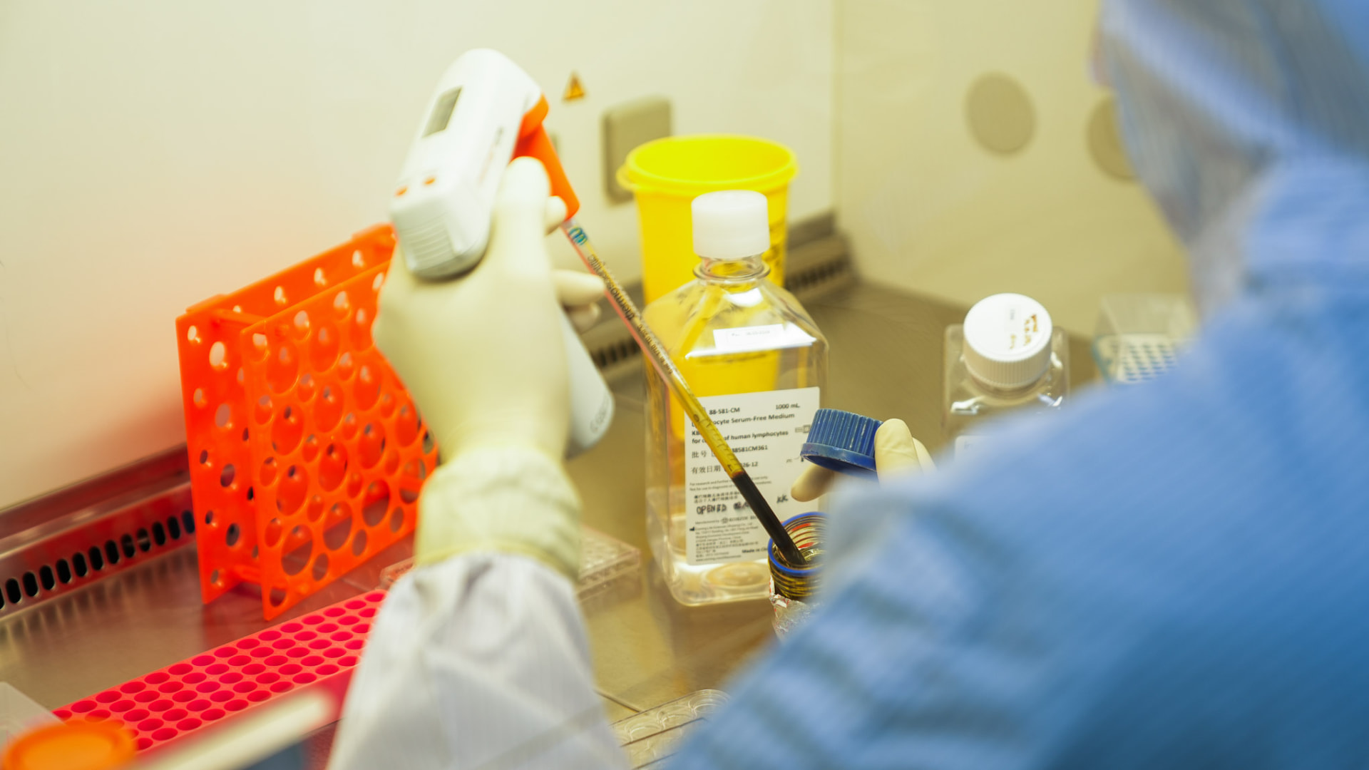 Technician in sterile protective clothing transferring cells inside a laboratory safety cabinet